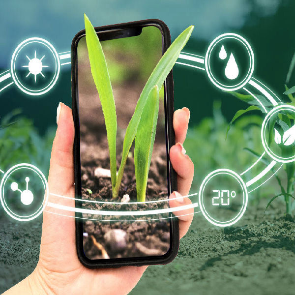 Agricultural Products, Feed Additives & Chemicals