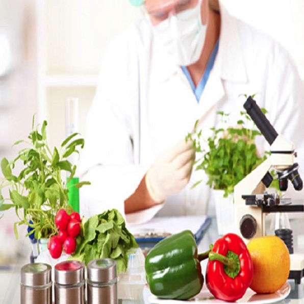 Certified Food Grade Chemicals